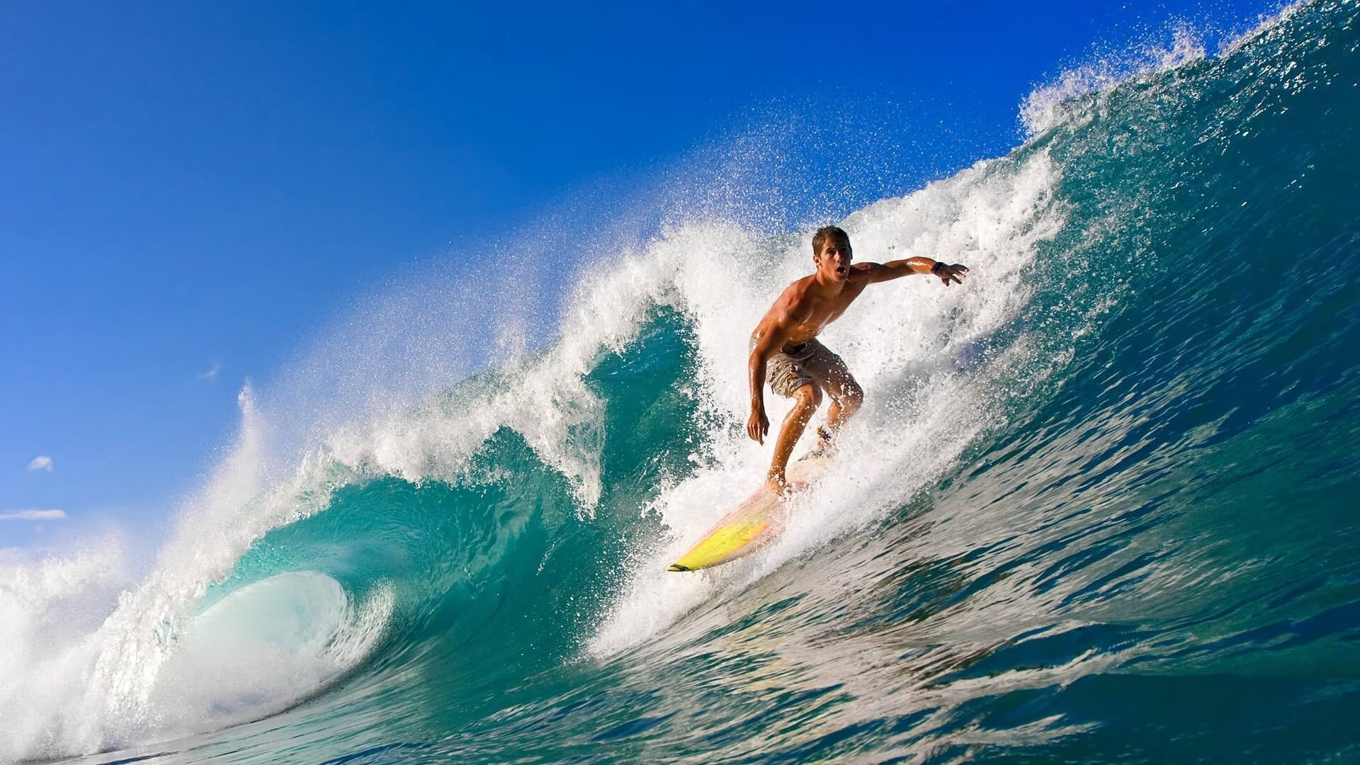 开云体育下载-王权与王座，当英超争冠战遇见国王的终极裁决